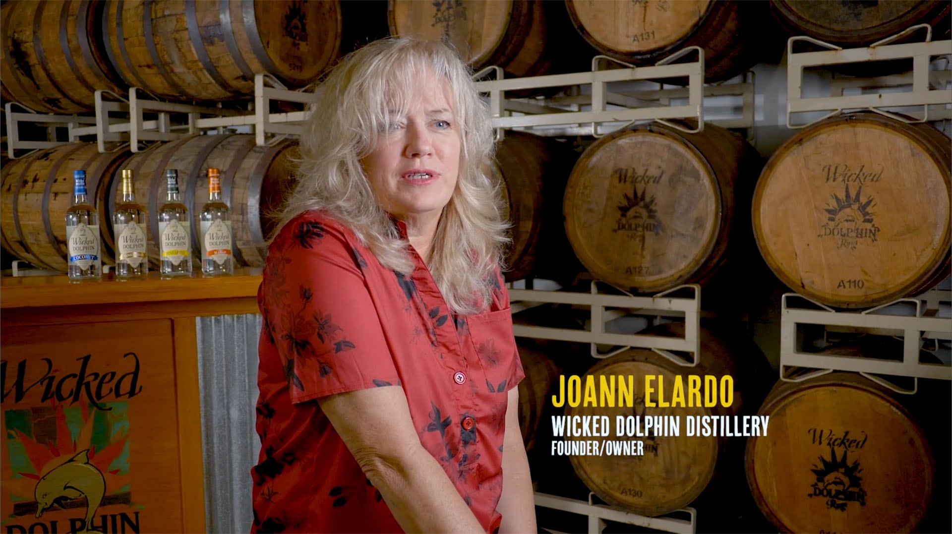 Wicked Dolphin story video