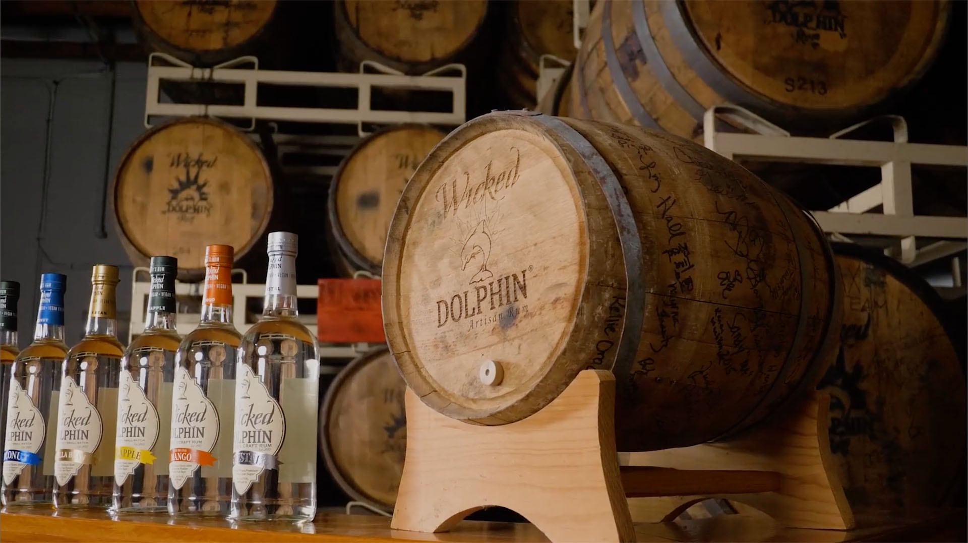 Wicked Dolphin 30 second sizzle video